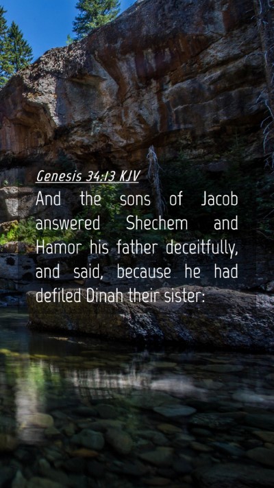 Picture 04 - Genesis 34:13 KJV Mobile Phone Wallpaper - And the sons of Jacob answered Shechem and Hamor - Mobile Bible Verse Wallpaper