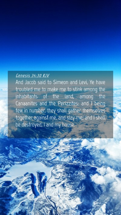 Picture 04 - Genesis 34:30 KJV Mobile Phone Wallpaper - And Jacob said to Simeon and Levi, Ye have - Mobile Bible Verse Wallpaper