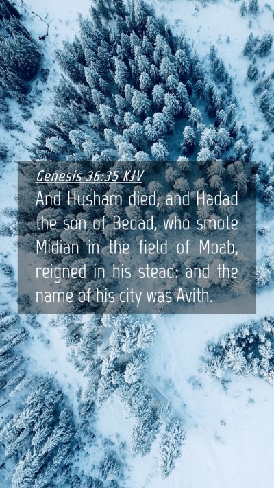 Picture 04 - Genesis 36:35 KJV Mobile Phone Wallpaper - And Husham died, and Hadad the son of Bedad, who - Mobile Bible Verse Wallpaper
