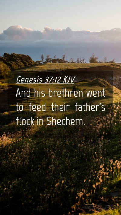 Picture 04 - Genesis 37:12 KJV Mobile Phone Wallpaper - And his brethren went to feed their father's - Mobile Bible Verse Wallpaper