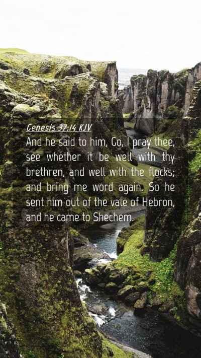 Picture 04 - Genesis 37:14 KJV Mobile Phone Wallpaper - And he said to him, Go, I pray thee, see whether - Mobile Bible Verse Wallpaper