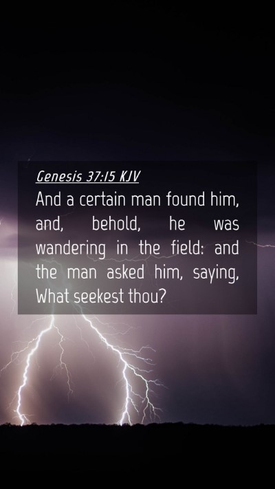 Picture 04 - Genesis 37:15 KJV Mobile Phone Wallpaper - And a certain man found him, and, behold, he was - Mobile Bible Verse Wallpaper