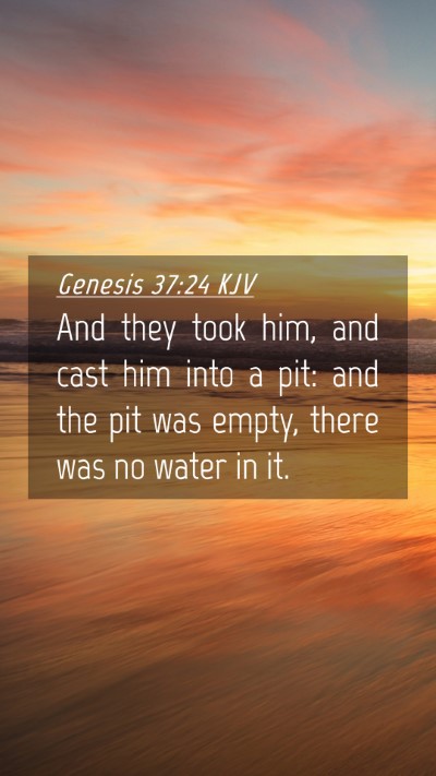 Picture 04 - Genesis 37:24 KJV Mobile Phone Wallpaper - And they took him, and cast him into a pit: and - Mobile Bible Verse Wallpaper