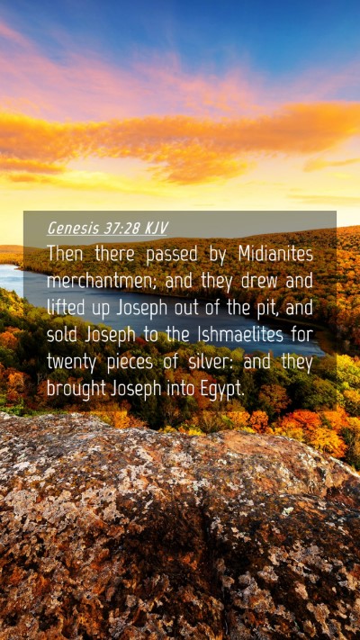 Picture 04 - Genesis 37:28 KJV Mobile Phone Wallpaper - Then there passed by Midianites merchantmen; and - Mobile Bible Verse Wallpaper