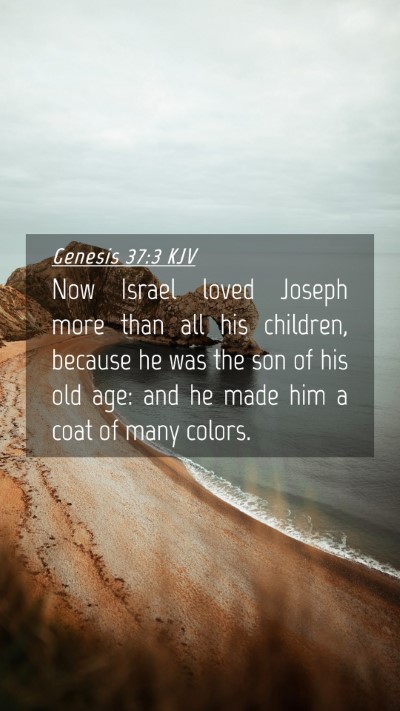 Picture 04 - Genesis 37:3 KJV Mobile Phone Wallpaper - Now Israel loved Joseph more than all his - Mobile Bible Verse Wallpaper
