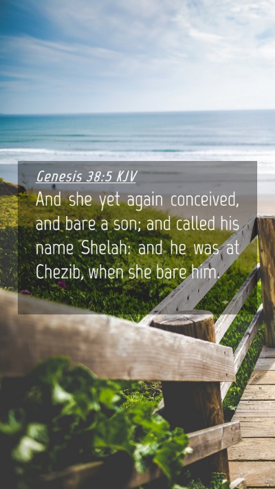 Picture 04 - Genesis 38:5 KJV Mobile Phone Wallpaper - And she yet again conceived, and bare a son; and - Mobile Bible Verse Wallpaper