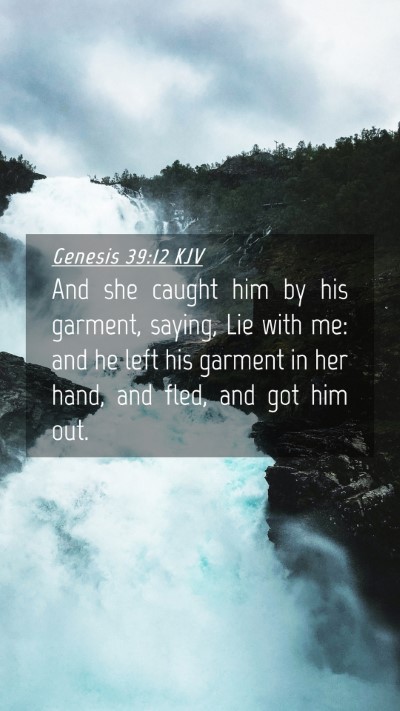 Picture 04 - Genesis 39:12 KJV Mobile Phone Wallpaper - And she caught him by his garment, saying, Lie - Mobile Bible Verse Wallpaper
