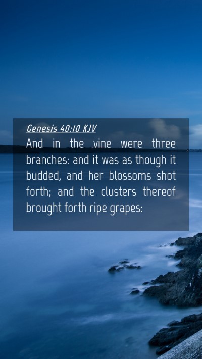 Picture 04 - Genesis 40:10 KJV Mobile Phone Wallpaper - And in the vine were three branches: and it was - Mobile Bible Verse Wallpaper