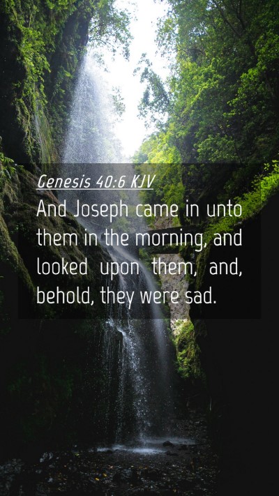 Picture 04 - Genesis 40:6 KJV Mobile Phone Wallpaper - And Joseph came in unto them in the morning, and - Mobile Bible Verse Wallpaper