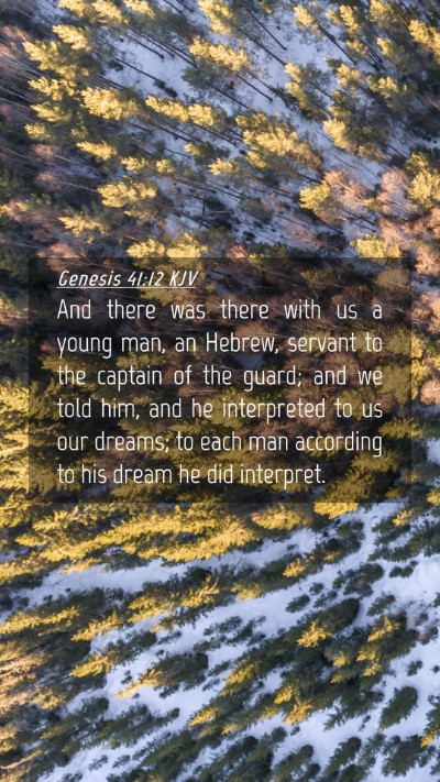 Picture 04 - Genesis 41:12 KJV Mobile Phone Wallpaper - And there was there with us a young man, an - Mobile Bible Verse Wallpaper