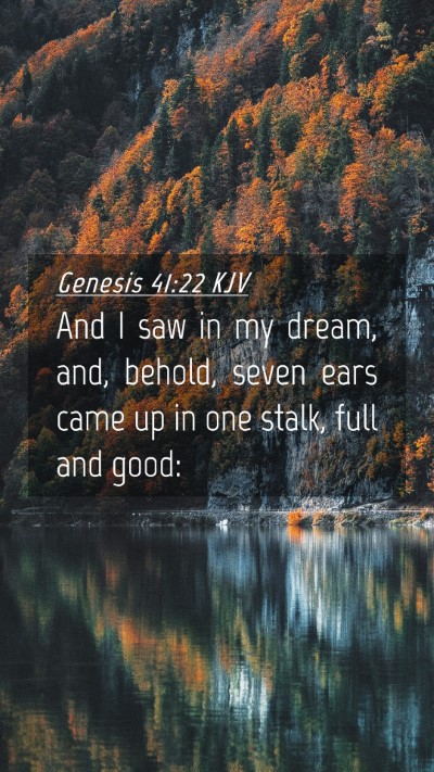 Picture 04 - Genesis 41:22 KJV Mobile Phone Wallpaper - And I saw in my dream, and, behold, seven ears - Mobile Bible Verse Wallpaper