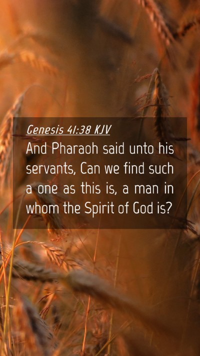 Picture 04 - Genesis 41:38 KJV Mobile Phone Wallpaper - And Pharaoh said unto his servants, Can we find - Mobile Bible Verse Wallpaper