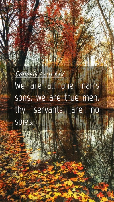 Picture 04 - Genesis 42:11 KJV Mobile Phone Wallpaper - We are all one man's sons; we are true men, thy - Mobile Bible Verse Wallpaper