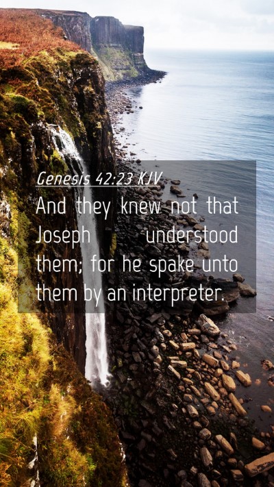 Picture 04 - Genesis 42:23 KJV Mobile Phone Wallpaper - And they knew not that Joseph understood them; - Mobile Bible Verse Wallpaper