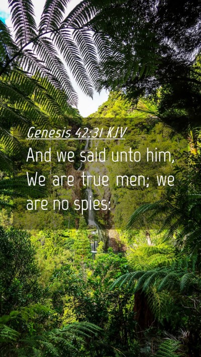 Picture 04 - Genesis 42:31 KJV Mobile Phone Wallpaper - And we said unto him, We are true men; we are no - Mobile Bible Verse Wallpaper