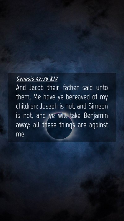 Picture 04 - Genesis 42:36 KJV Mobile Phone Wallpaper - And Jacob their father said unto them, Me have ye - Mobile Bible Verse Wallpaper