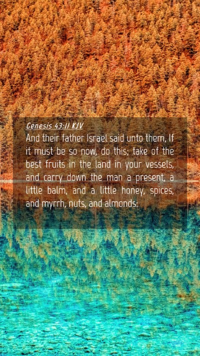 Picture 04 - Genesis 43:11 KJV Mobile Phone Wallpaper - And their father Israel said unto them, If it - Mobile Bible Verse Wallpaper