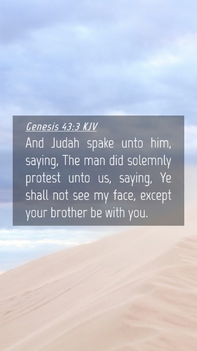 Picture 04 - Genesis 43:3 KJV Mobile Phone Wallpaper - And Judah spake unto him, saying, The man did - Mobile Bible Verse Wallpaper