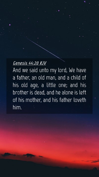 Picture 04 - Genesis 44:20 KJV Mobile Phone Wallpaper - And we said unto my lord, We have a father, an - Mobile Bible Verse Wallpaper