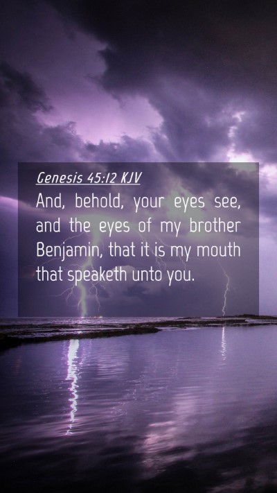 Picture 04 - Genesis 45:12 KJV Mobile Phone Wallpaper - And, behold, your eyes see, and the eyes of my - Mobile Bible Verse Wallpaper