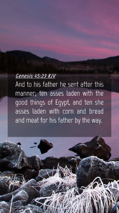 Picture 04 - Genesis 45:23 KJV Mobile Phone Wallpaper - And to his father he sent after this manner; ten - Mobile Bible Verse Wallpaper