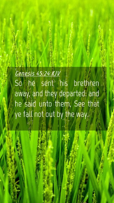 Picture 04 - Genesis 45:24 KJV Mobile Phone Wallpaper - So he sent his brethren away, and they departed: - Mobile Bible Verse Wallpaper
