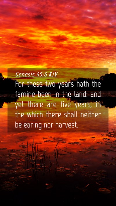 Picture 04 - Genesis 45:6 KJV Mobile Phone Wallpaper - For these two years hath the famine been in the - Mobile Bible Verse Wallpaper