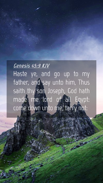 Picture 04 - Genesis 45:9 KJV Mobile Phone Wallpaper - Haste ye, and go up to my father, and say unto - Mobile Bible Verse Wallpaper