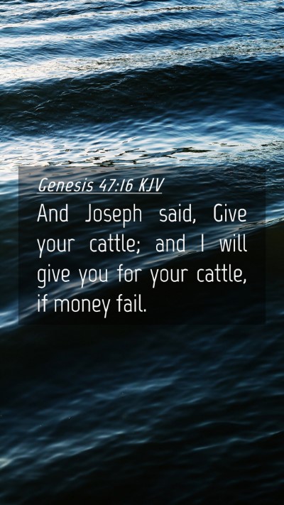 Picture 04 - Genesis 47:16 KJV Mobile Phone Wallpaper - And Joseph said, Give your cattle; and I will - Mobile Bible Verse Wallpaper