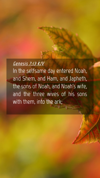 Picture 04 - Genesis 7:13 KJV Mobile Phone Wallpaper - In the selfsame day entered Noah, and Shem, and - Mobile Bible Verse Wallpaper