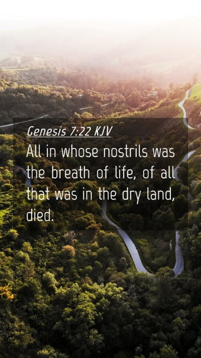 Picture 04 - Genesis 7:22 KJV Mobile Phone Wallpaper - All in whose nostrils was the breath of life, of - Mobile Bible Verse Wallpaper