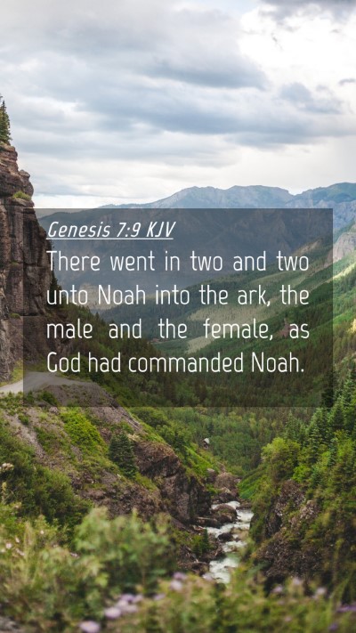 Picture 04 - Genesis 7:9 KJV Mobile Phone Wallpaper - There went in two and two unto Noah into the ark, - Mobile Bible Verse Wallpaper
