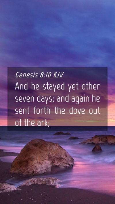 Picture 04 - Genesis 8:10 KJV Mobile Phone Wallpaper - And he stayed yet other seven days; and again he - Mobile Bible Verse Wallpaper