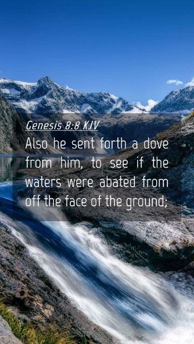 Picture 04 - Genesis 8:8 KJV Mobile Phone Wallpaper - Also he sent forth a dove from him, to see if the - Mobile Bible Verse Wallpaper