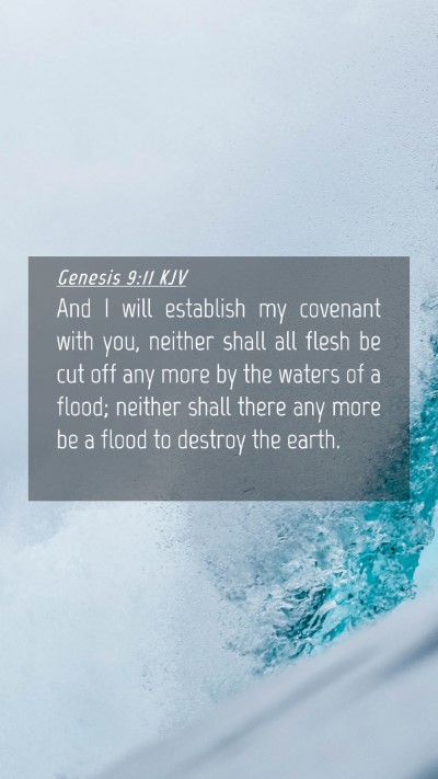 Picture 04 - Genesis 9:11 KJV Mobile Phone Wallpaper - And I will establish my covenant with you, - Mobile Bible Verse Wallpaper