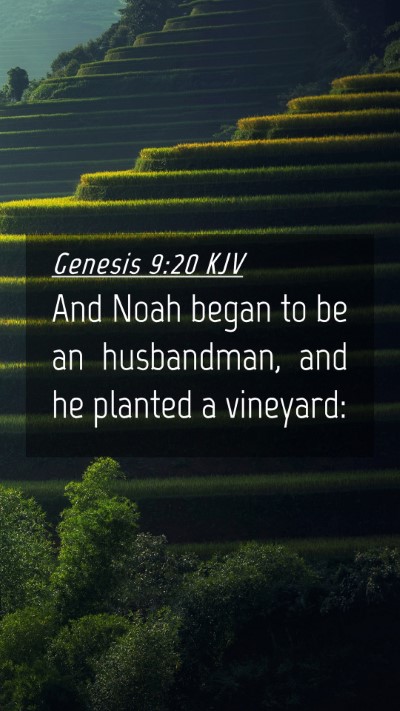Picture 04 - Genesis 9:20 KJV Mobile Phone Wallpaper - And Noah began to be an husbandman, and he - Mobile Bible Verse Wallpaper