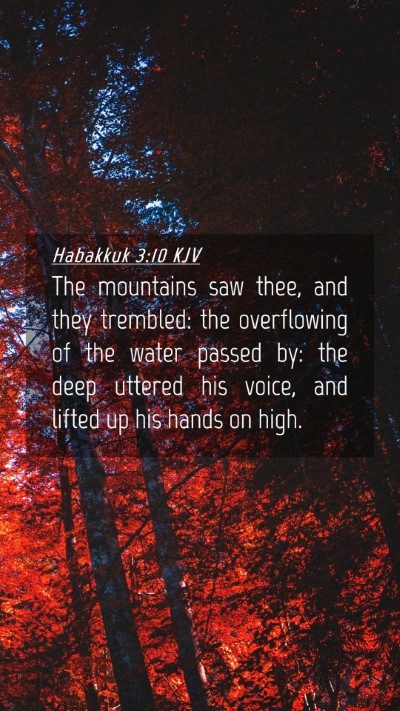 Picture 04 - Habakkuk 3:10 KJV Mobile Phone Wallpaper - The mountains saw thee, and they trembled: the - Mobile Bible Verse Wallpaper