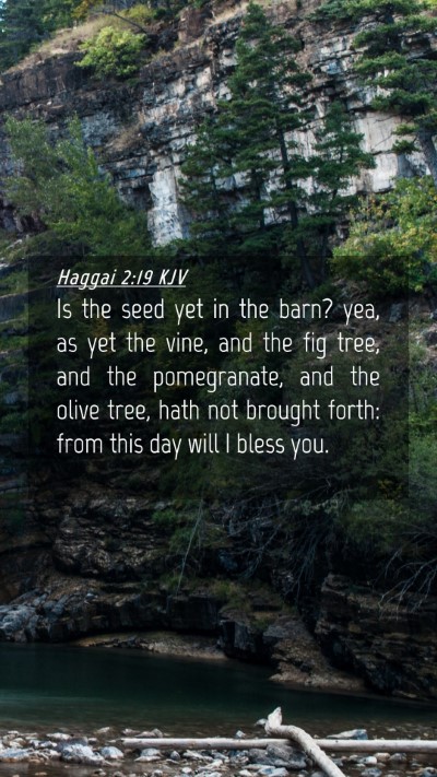 Picture 04 - Haggai 2:19 KJV Mobile Phone Wallpaper - Is the seed yet in the barn? yea, as yet the - Mobile Bible Verse Wallpaper