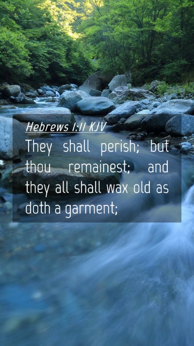 Picture 04 - Hebrews 1:11 KJV Mobile Phone Wallpaper - They shall perish; but thou remainest; and they - Mobile Bible Verse Wallpaper