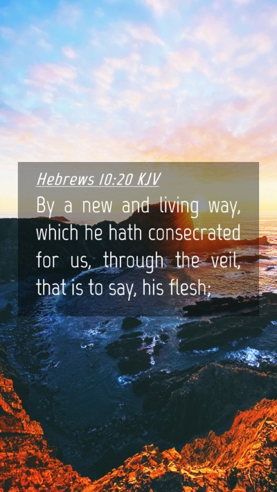 Picture 04 - Hebrews 10:20 KJV Mobile Phone Wallpaper - By a new and living way, which he hath - Mobile Bible Verse Wallpaper