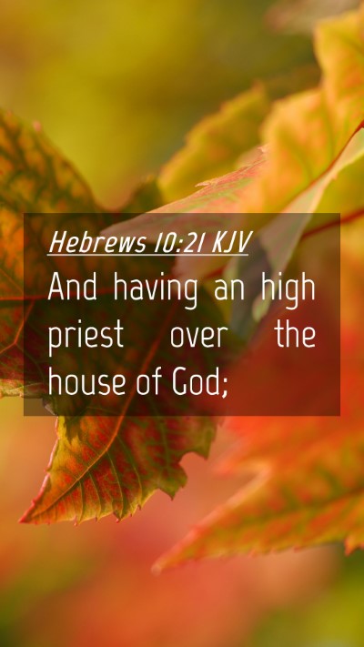 Picture 04 - Hebrews 10:21 KJV Mobile Phone Wallpaper - And having an high priest over the house of - Mobile Bible Verse Wallpaper