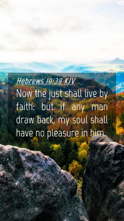 Picture 04 - Hebrews 10:38 KJV Mobile Phone Wallpaper - Now the just shall live by faith: but if any man - Mobile Bible Verse Wallpaper
