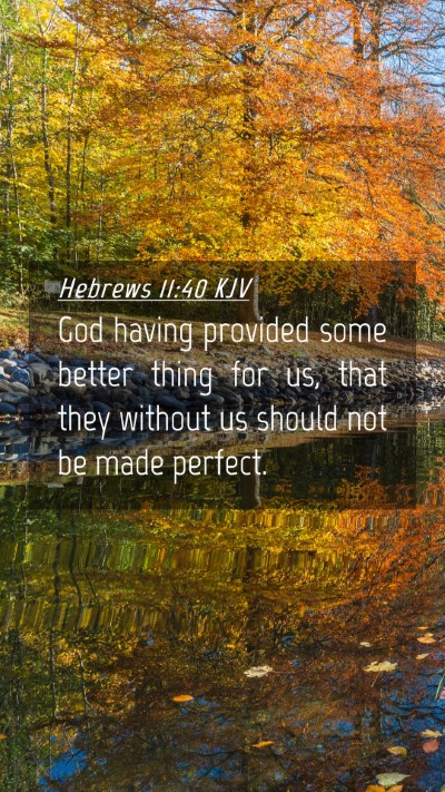 Picture 04 - Hebrews 11:40 KJV Mobile Phone Wallpaper - God having provided some better thing for us, - Mobile Bible Verse Wallpaper