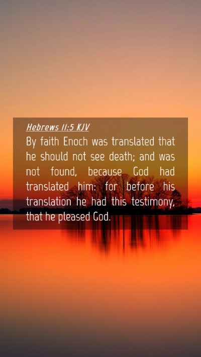 Picture 04 - Hebrews 11:5 KJV Mobile Phone Wallpaper - By faith Enoch was translated that he should not - Mobile Bible Verse Wallpaper