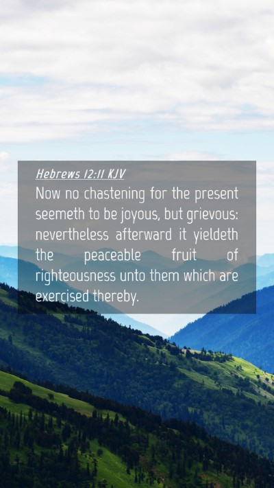 Picture 04 - Hebrews 12:11 KJV Mobile Phone Wallpaper - Now no chastening for the present seemeth to be - Mobile Bible Verse Wallpaper