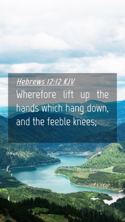 Picture 04 - Hebrews 12:12 KJV Mobile Phone Wallpaper - Wherefore lift up the hands which hang down, and - Mobile Bible Verse Wallpaper