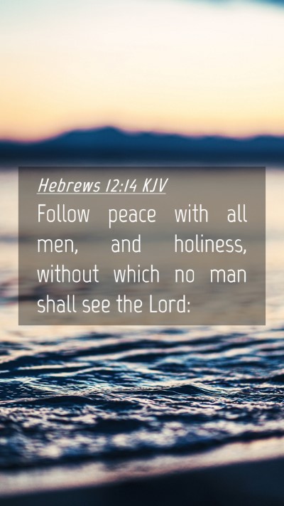 Picture 04 - Hebrews 12:14 KJV Mobile Phone Wallpaper - Follow peace with all men, and holiness, without - Mobile Bible Verse Wallpaper