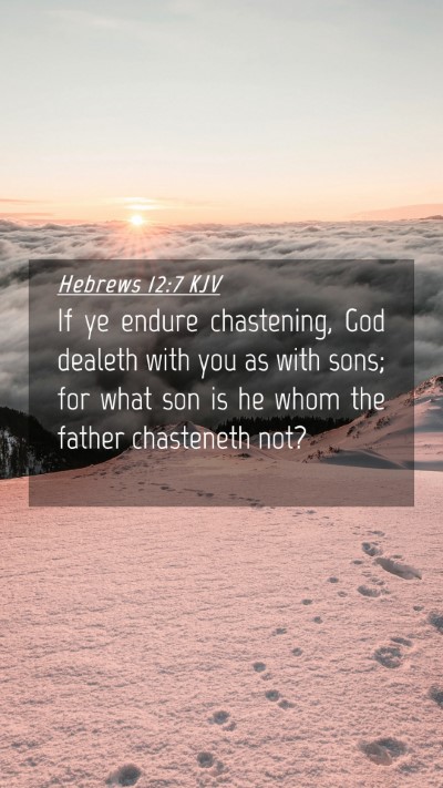 Picture 04 - Hebrews 12:7 KJV Mobile Phone Wallpaper - If ye endure chastening, God dealeth with you as - Mobile Bible Verse Wallpaper
