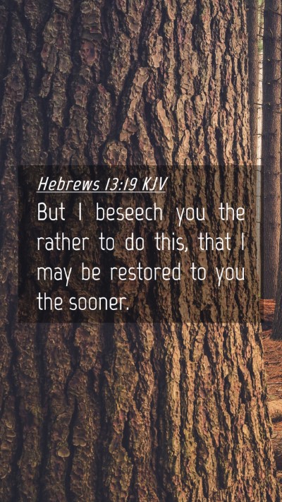 Picture 04 - Hebrews 13:19 KJV Mobile Phone Wallpaper - But I beseech you the rather to do this, that I - Mobile Bible Verse Wallpaper
