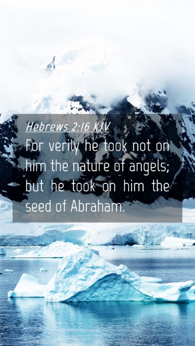 Picture 04 - Hebrews 2:16 KJV Mobile Phone Wallpaper - For verily he took not on him the nature of - Mobile Bible Verse Wallpaper